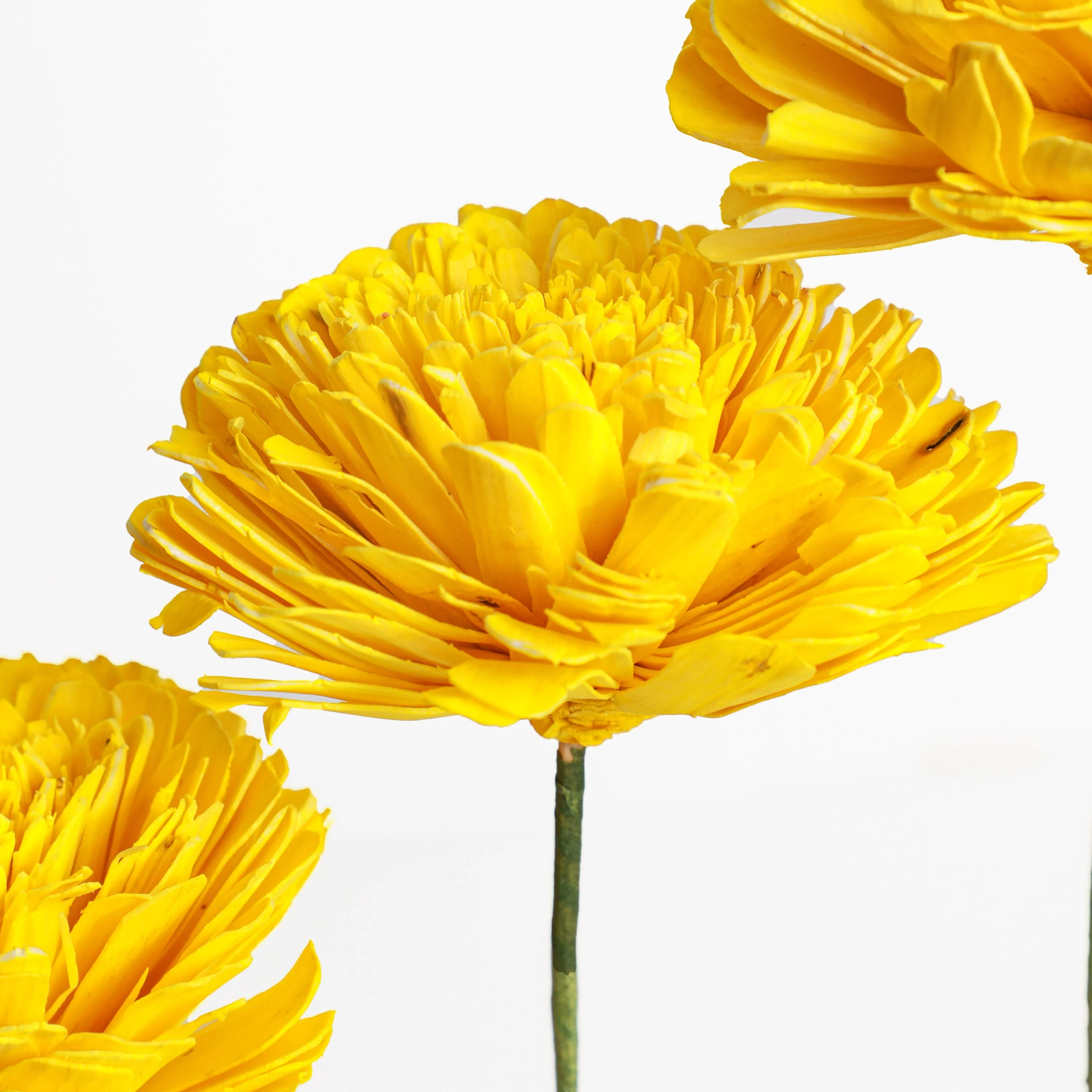 Yellow Flower with Stem