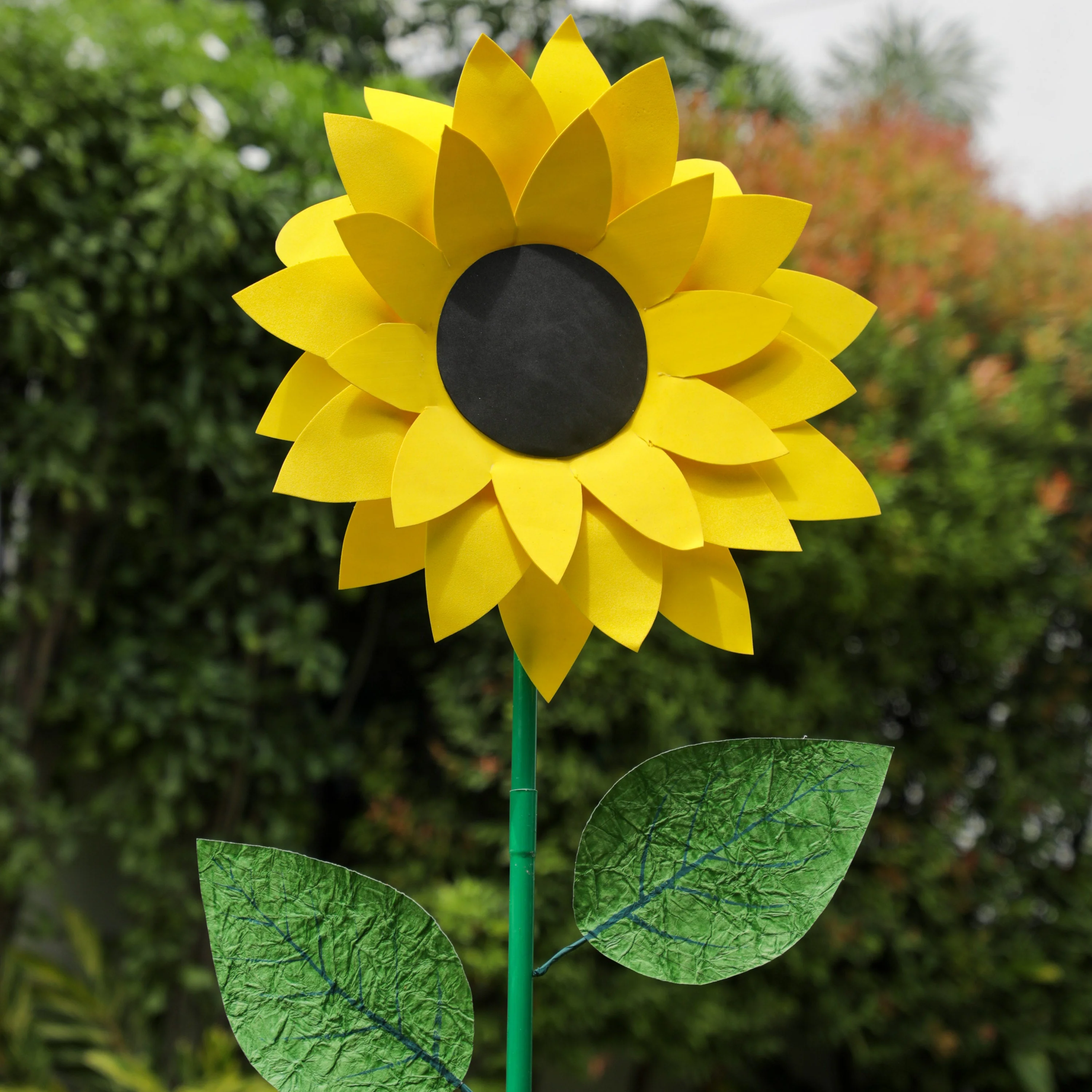 Huge Sunflower with Stem and Leaves